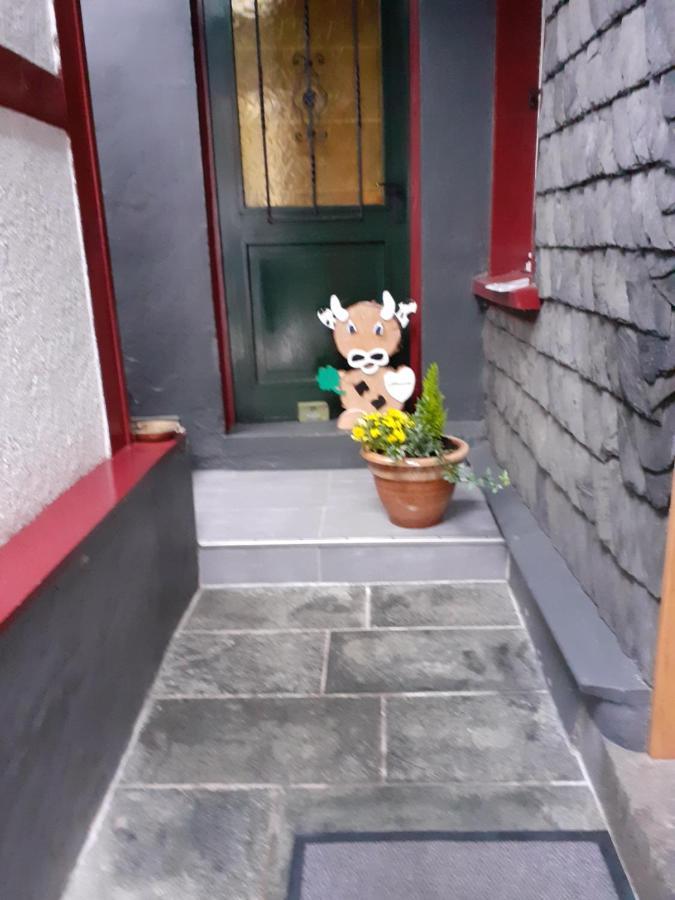 Hallerblick Monschau Exterior photo